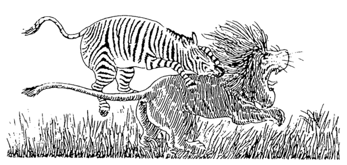 Zebra-Comic