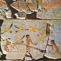 Nianchchnum und Chnumhotep 4